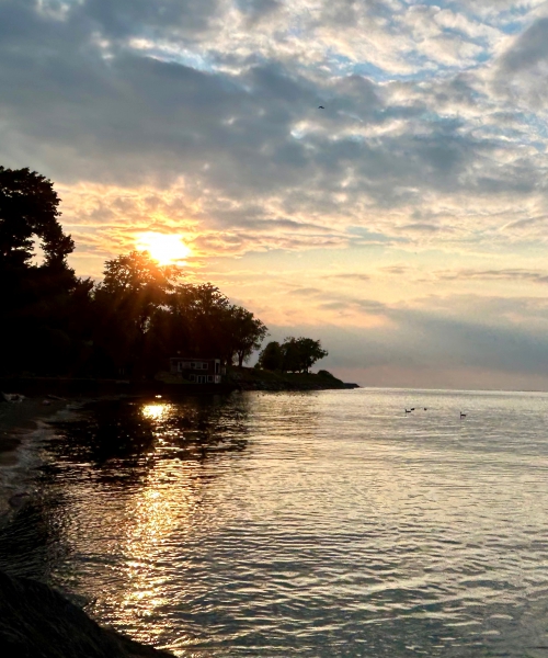 Barbara Ellen (née Pritchard) Illingworth